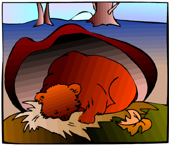 bear in cave