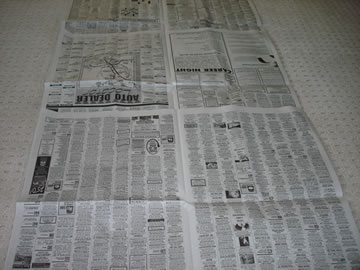 newspaper tree part 1