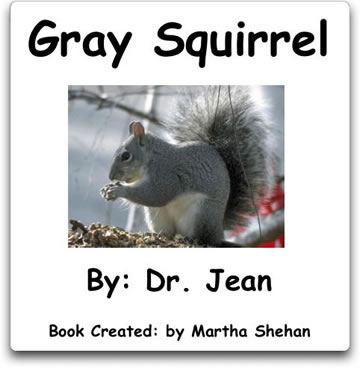 Gray Squirrel Book Cover